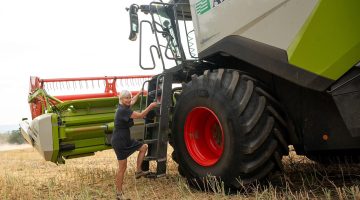 518389395 1356306045863968 3905993376970243668 n