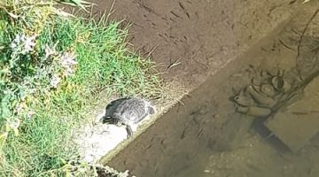 521707842 3059645687548810 6937239204043906555 n