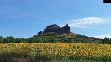 523782141 24599007443016598 3055505251473016958 n