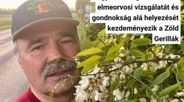 523910829 1306523718149490 4243883308585569094 n