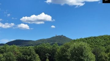 524153218 24590953993821943 8816148973506548608 n