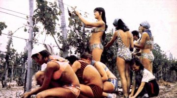 524780970 24029803070017965 6360333940997540991 n