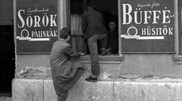 524867409 24030510713280534 8814984154373793892 n