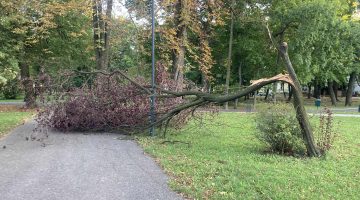 52527589 4417 4c58 a286 32d3aec8d4e9