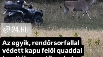 526689564 24505842382379177 3927040511961583840 n