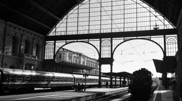 528586639 18074571419510199 2736025046529854022 n