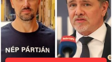 529783890 1307074050774432 4708318361377324978 n