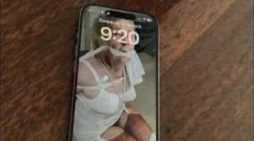 530229932 1445304056715119 6176842763248459493 n