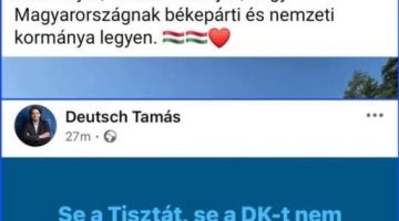 530361005 3345788592254346 4406519909394429466 n