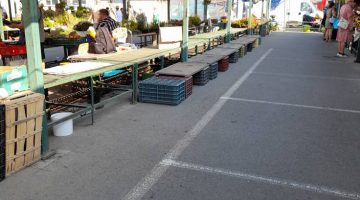 533077527 10231014374087511 5237679867022563548 n