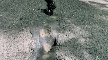 533081906 1105032638434210 6720628944810844084 n