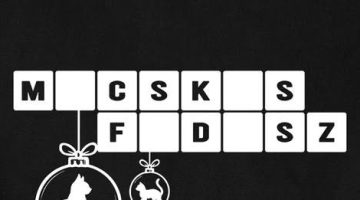 533169690 1063021959278054 3496266539456858031 n