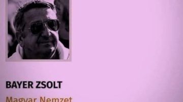 537706400 24593983593530909 3469854565076800381 n