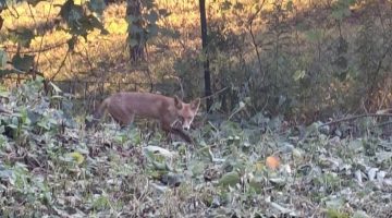 538987936 1309984730636960 8776522172444892940 n