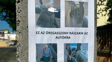 541194375 1361660052626799 7516455012372247068 n