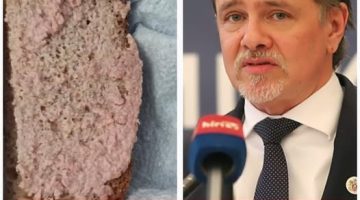 546849132 1332546631560507 2401579890789917983 n