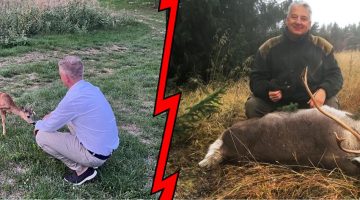 547562181 122143950710837121 5787568221473078974 n