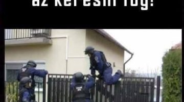 548156481 24418752041086370 1528531029737483921 n