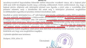 548211855 1347258703429087 5926658974985118588 n