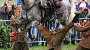 548334200 3877282599229937 6722647537203173283 n