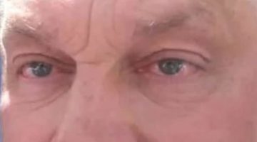 548473416 25433275992926526 1994350265865152460 n