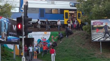 550438197 24607809555506381 1504974387001968557 n