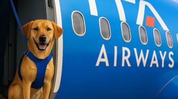 552632980 1213886360778383 5033529861103132596 n