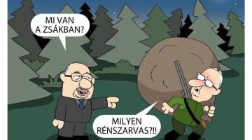 554076927 1194561106040172 3102349998178057188 n