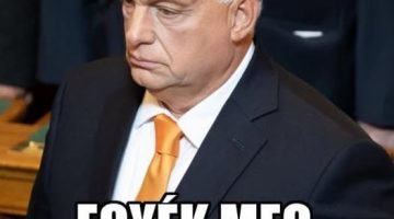 555541186 1378950800266167 3204815727619878980 n