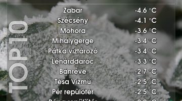 556861883 1243829731106804 2634254037454473459 n