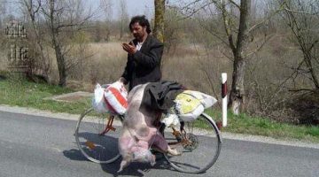 556953595 24753653600920171 576591465389529828 n