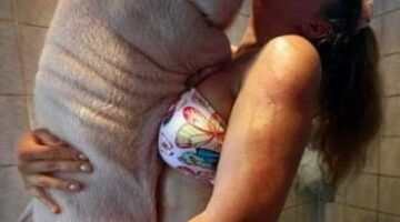 559634_296152120460002_100001956507248_677215_1678358185_n