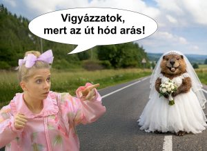 55a095c9 4ae2 4bf9 9442 4655b031220e