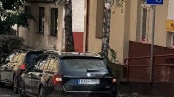 561917582 1354438422704661 8279067889278456746 n