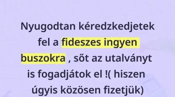 562369558 2038857446873558 3373899227931694527 n
