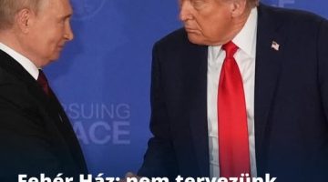 566241964 1442878120619678 2757192344238339180 n