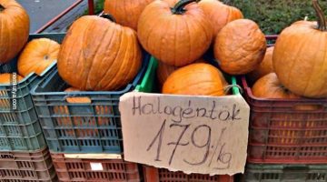 571239812 25110240078642581 7642981541491324817 n