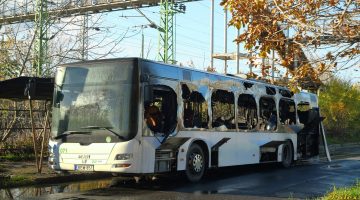 574608116 1445980200861060 4694336292119660722 n