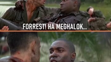 581992340 1407410918054647 5327264973956138846 n