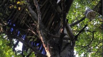 582610569 761997870208587 1024177562925960360 n