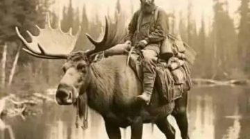 583592628 2870774689979846 428038835015483417 n