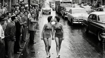 592101370 10241182812252487 8294524531767703514 n