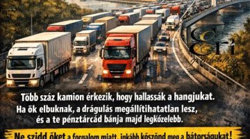 600234385 1162395782721231 8822320827680367665 n