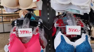 600296416 1638291157593554 6803392745134076258 n