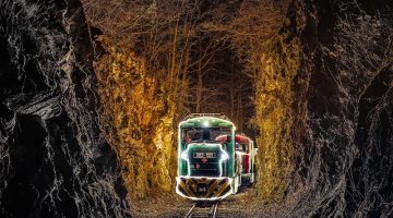 603769103 1512484723567426 749964703566987475 n