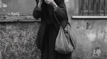 603843089 122114252313055637 7721126178412164109 n