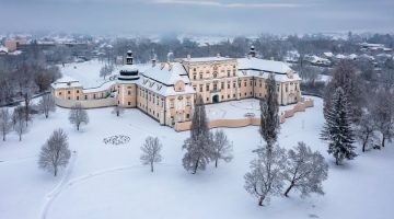 612354509 1440867674708043 2918401416664962626 n