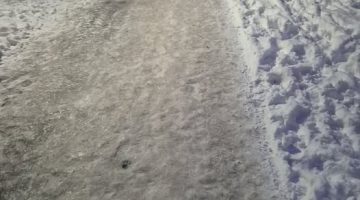 612579414 1861553224479846 851451523348665406 n