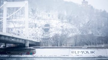 613169408 1316214103868992 5854779157169435028 n