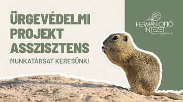 616972452 1318196537005595 2492256526750053389 n